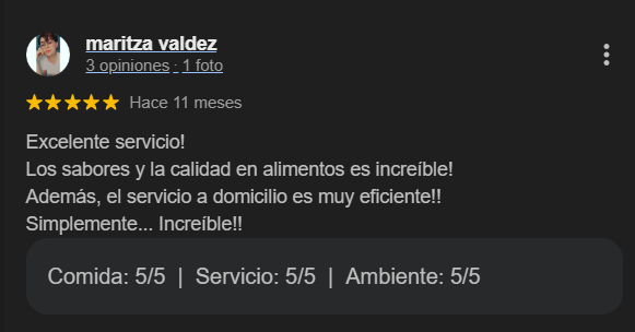 Reseña Google 1