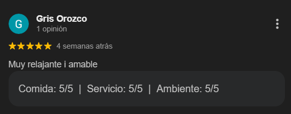 Reseña Google 2