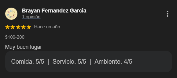 Reseña Google 3